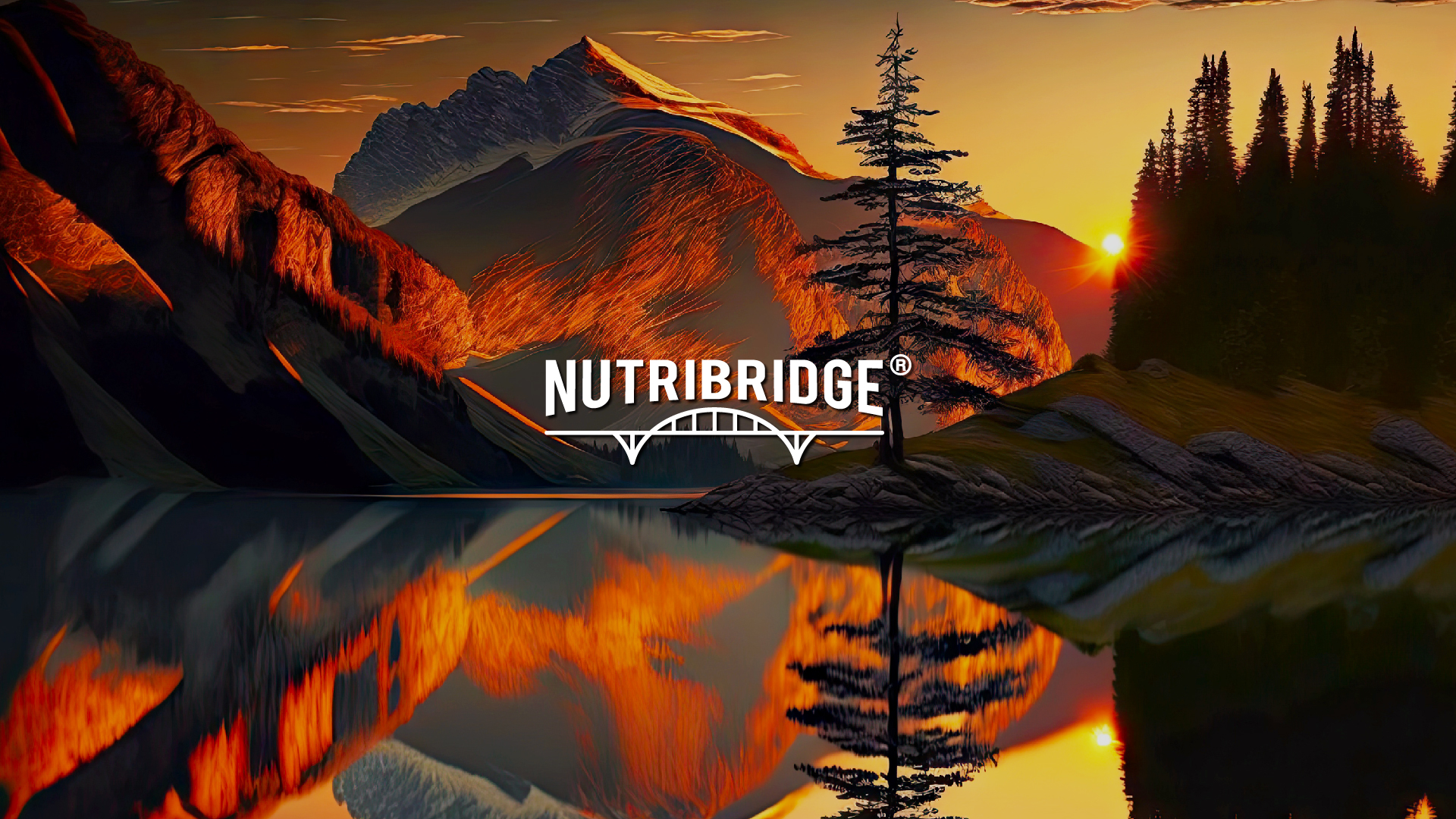 NUTRIBRIDGE